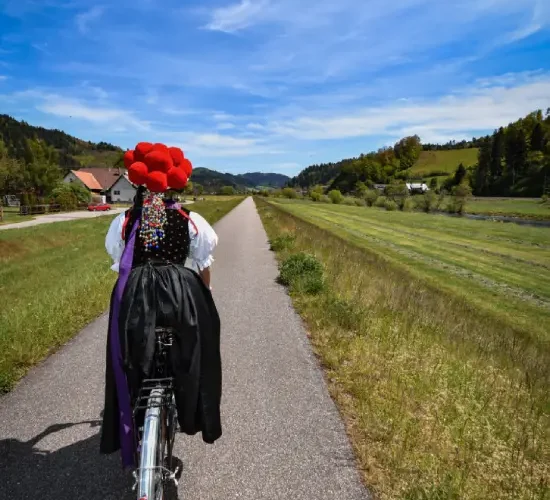 selva negra - tour en bicicletas en la selva negra