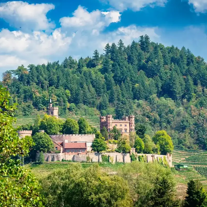 castillo de Ortenberg en la Selva Negra Alemania rodeado de viñedos con vistas al valle del Kinzig
