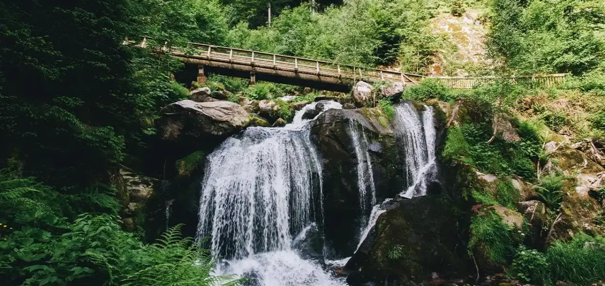 cascadas de Triberg en la Selva Negra Alemania rodeadas de bosque
