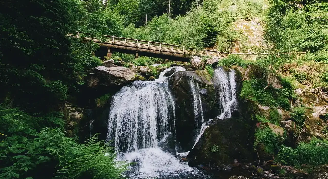 cascadas de Triberg en la Selva Negra Alemania rodeadas de bosque