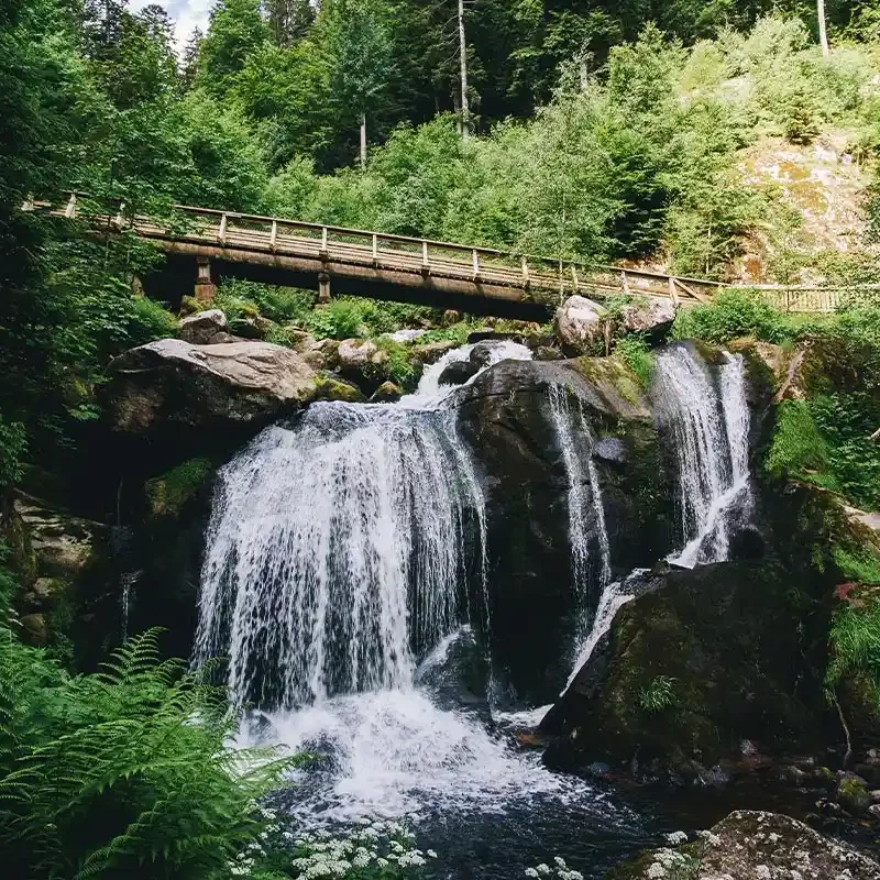 cascadas de Triberg en la Selva Negra Alemania rodeadas de bosque