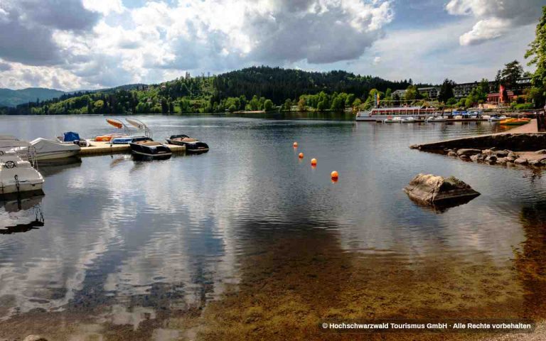 Excursión por la Selva Negra desde Friburgo | Titisee, Triberg y Gengenbach