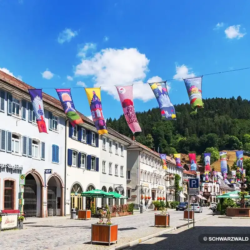 calle del pueblo de Wolfach en la Selva Negra Alemania con casas tradicionales y ambiente local